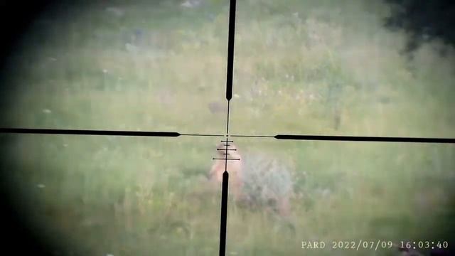 PARD 007S смотреть онлайн