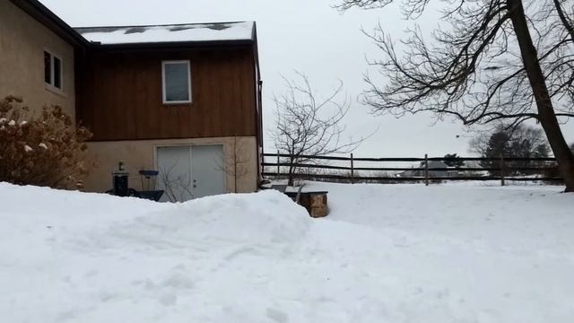 sled shred смотреть онлайн