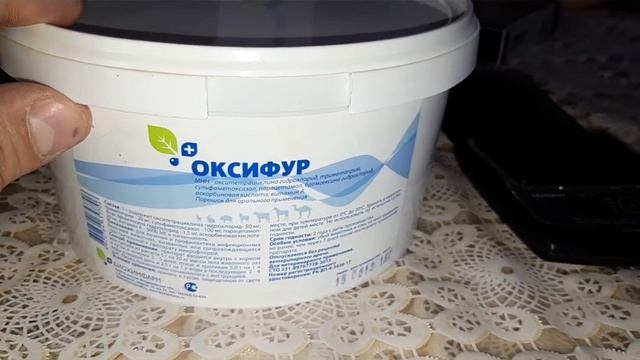 Николаевские голуби. Два новых чужака. Профилактическое пропаивание. смотреть онлайн