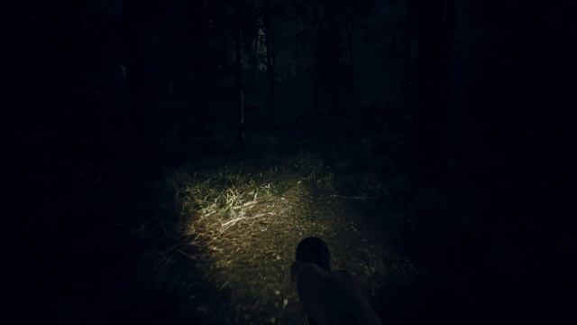 Trailer :: Dead Mans Diary смотреть онлайн