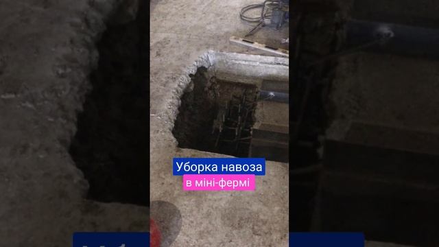 Уборка навоза в міні-фермі #спдпетров смотреть онлайн