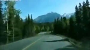 Ведь жизнь бежит...Течет рекою ..