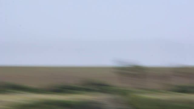 2019 06 11 Canon eos 500d 2616 смотреть онлайн