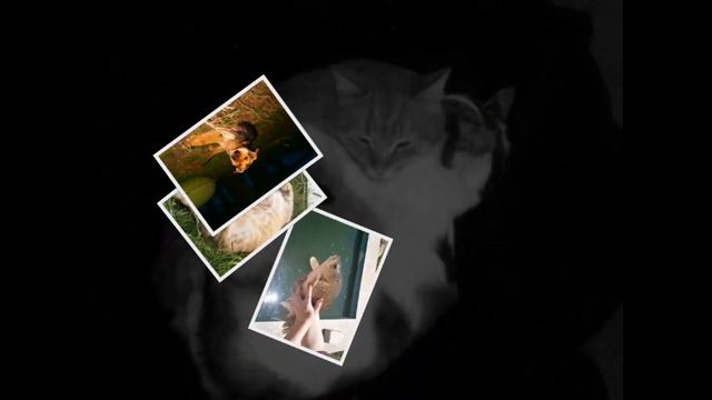 Позитивчик для тебя, улыбаемся мой друг