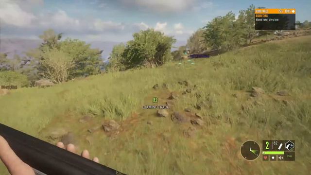 บุก SAVANNA กับ nuMBerOne & nine : the hunter call of the wild смотреть онлайн