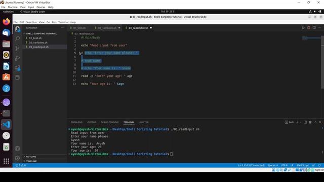 How do I read user input into a variable in Bash | Shell Scripting Tutorial for Beginners смотреть онлайн