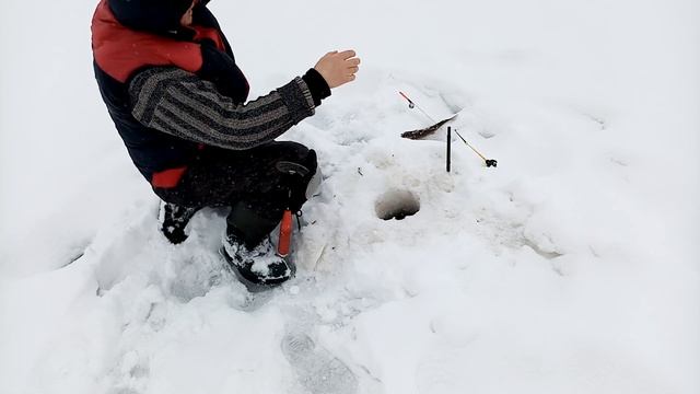 Отличная рыбалка, давление 737 м.р.с!!! смотреть онлайн