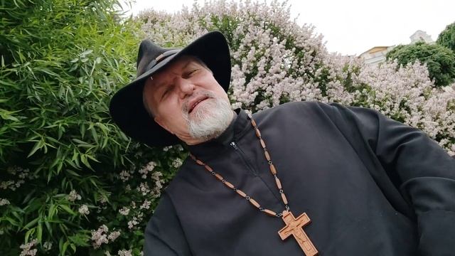 Да благословит тебя Господь, и сохранит! Благословение священников! #АрхиепископСергейЖуравлев #Авв смотреть онлайн