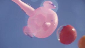 Bestway - Growing Fun