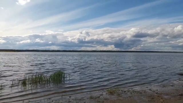 Река Мезень. Район Кривки. 21 августа 2021 год. смотреть онлайн