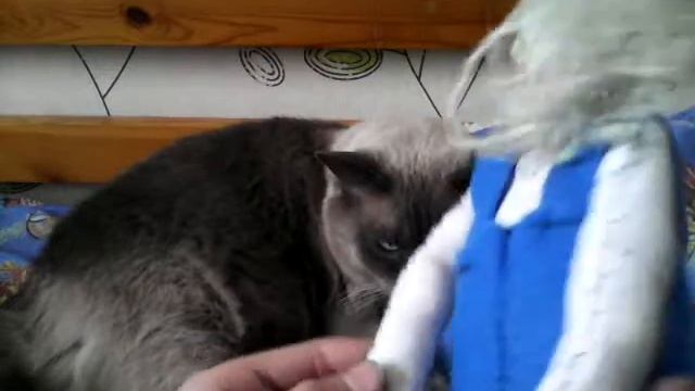 Самодельная кукла Тильда обзор смотреть онлайн