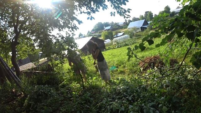 ЖИЗНЬ В ДЕРЕВНЕ ВЯЖЕМ ЛИПОВЫЕ ВЕНИКИ ДЛЯ ПРОДАЖИ! смотреть онлайн