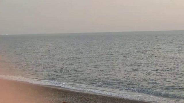 Дельфины в Адлере(2) смотреть онлайн