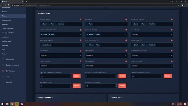 How To Setup Dyno Discord Bot