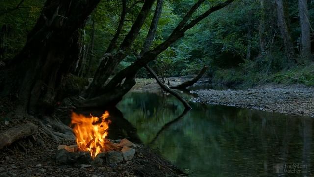Болезни перца сладкого и борьба с ними смотреть онлайн