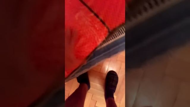 Eva коврики на ниссан альмера g15 смотреть онлайн