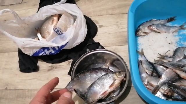 Как не пересолить рыбу при сухом посоле смотреть онлайн
