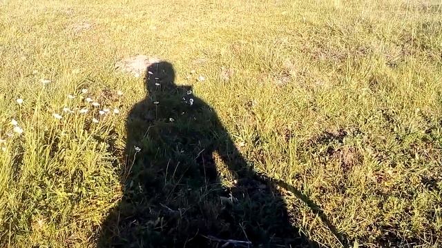 клад монет посреди поля смотреть онлайн