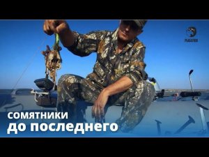 До последнего // СОМЯТНИКИ // Выпуск 3