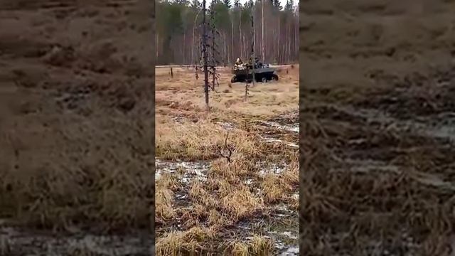 Гусеничный вездеход Черепаха по болоту Архангельская область смотреть онлайн
