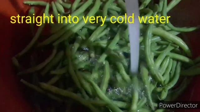 ЗАМОРАЖИВАЕМ СТРУЧКОВУЮ ФАСОЛЬ / freeze the green beans смотреть онлайн