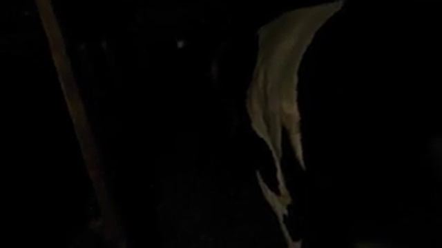 ОТЕЛ КОРОВЫ . ЧЕМ И КАК КОРМИТЬ КОРОВКУ ДО И ПОСЛЕ ОТЕЛА смотреть онлайн