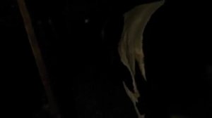 ОТЕЛ КОРОВЫ . ЧЕМ И КАК КОРМИТЬ КОРОВКУ ДО И ПОСЛЕ ОТЕЛА