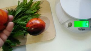 Томат ГАРГАМЕЛЬ снова посажу для красивых баночек.НОВИНКА сезона. ЭКЗОТИКА. АНТОЦИАН.