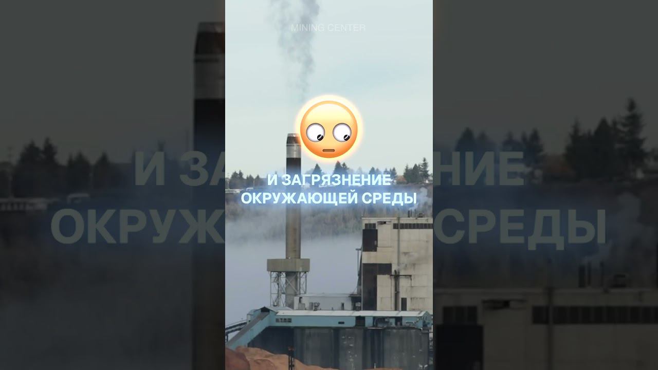 Гринпис следит за майнингом? смотреть онлайн