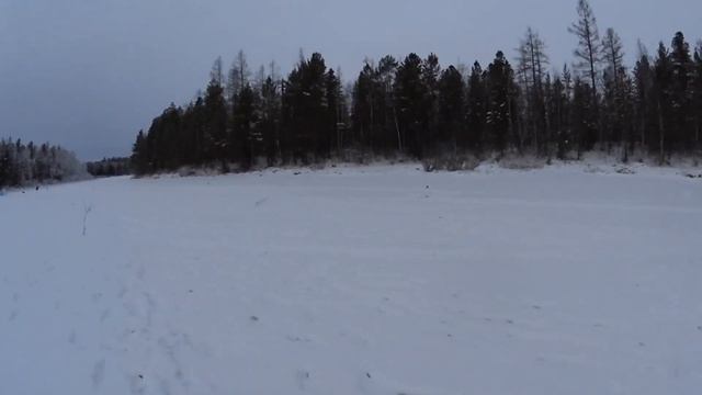 №6. ЯНАО. 23 НОЯБРЯ 2023г. ПРОДОЛЖАЕМ ЛОХМАТИТЬ ЗУБАСТУЮ! смотреть онлайн