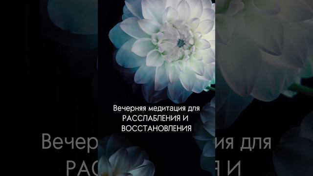 Максимальное расслабление 😌 Медитация. Екатерина Попова. смотреть онлайн