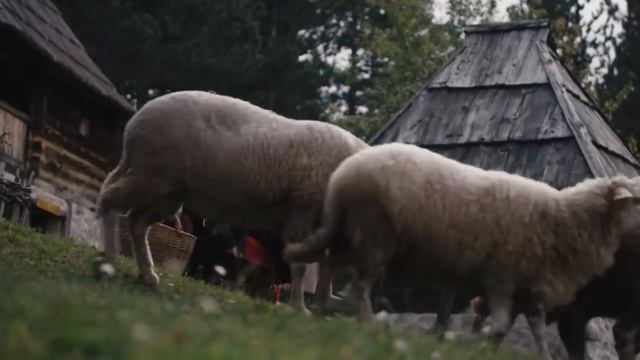 10 КРУПНЕЙШИХ ПРАВОСЛАВНЫХ НАРОДОВ! смотреть онлайн