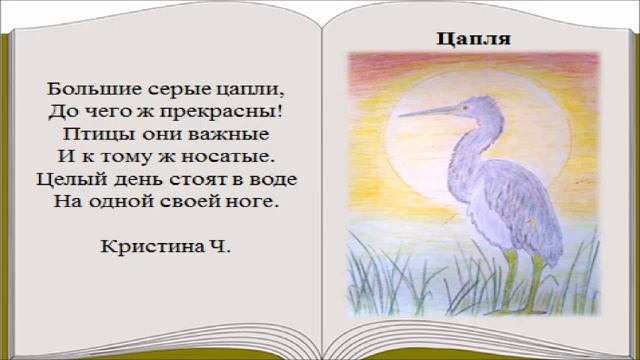 Книга  "Перелетные птицы нашего края"