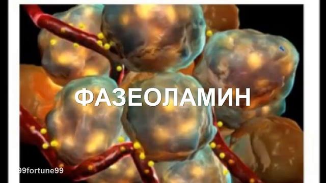 КАК ПОХУДЕТЬ НА ФАСОЛИ / ТАКОГО ВЫ НЕ ОЖИДАЛИ ! смотреть онлайн