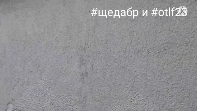 Нанесение декоративки штукатурки Основит. Часть вторая. Видео для студентов смотреть онлайн