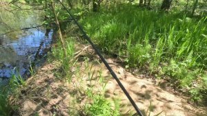 Медвежий угол, рыбалка в Тверской области