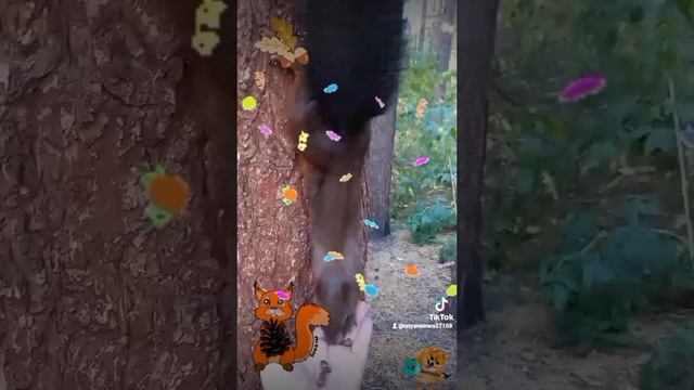 Для настроения, немного позитива