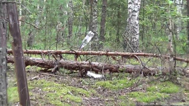 Лес не свалка. смотреть онлайн
