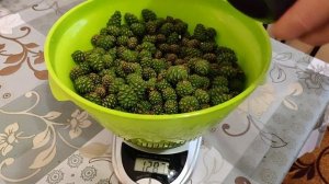 Варенье из сосновый шишек! Эликсир здоровья!