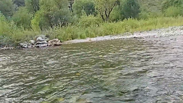 Перекус у горной реки. ЭкоАлтая. смотреть онлайн