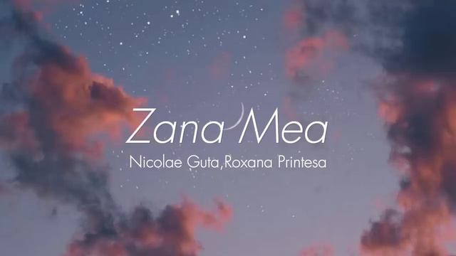 Nicolae Guta & Roxana Printesa Ardealului - Zana Mea [Testo/Sped Up]🇷🇴 смотреть онлайн