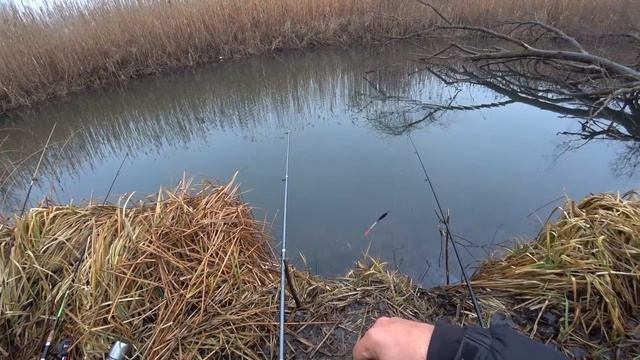 Рыбалка на старом месте Ловля карася в декабре на поплавок . My fishing смотреть онлайн