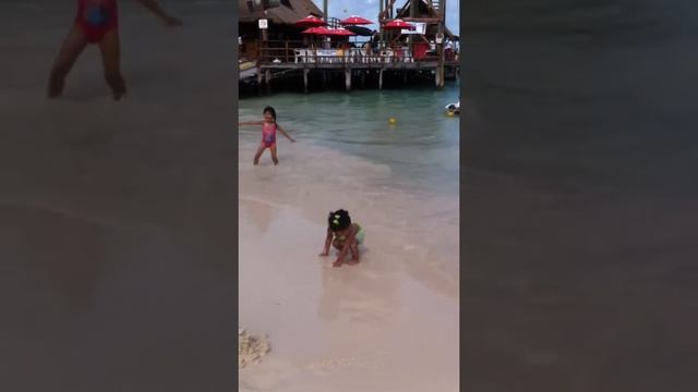 Playa tortuga cancun смотреть онлайн