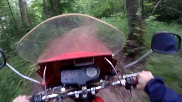 Тула 5.951 В лес!