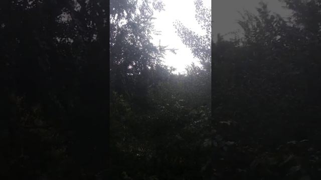 Неделя после покупки квартиры смотреть онлайн