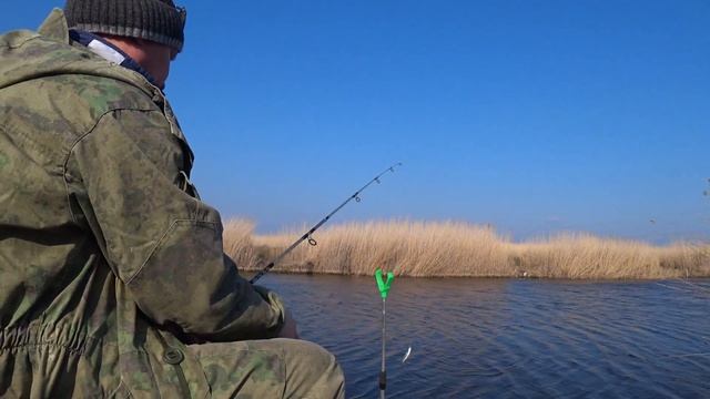День краснопёрки. Рыбалка в Приморско-Ахтарске смотреть онлайн