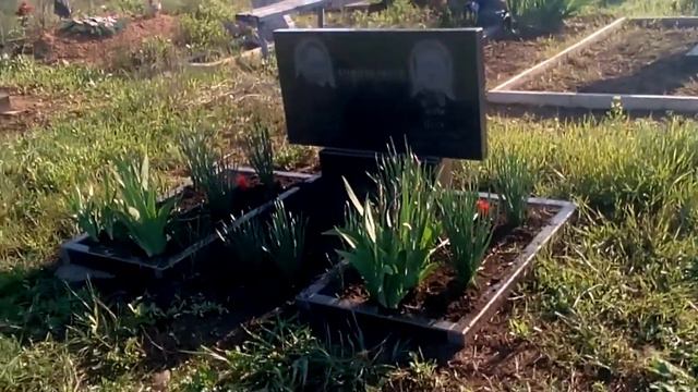 Кривой Рог Поминальный день .Шишкиным моя боль и любовь!