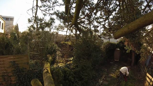 Produkttest | Testbericht | Anwendung | Elektrische Heckenschere Bosch AHS 45-16