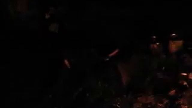 Храп ночью у костра в лесу смотреть онлайн