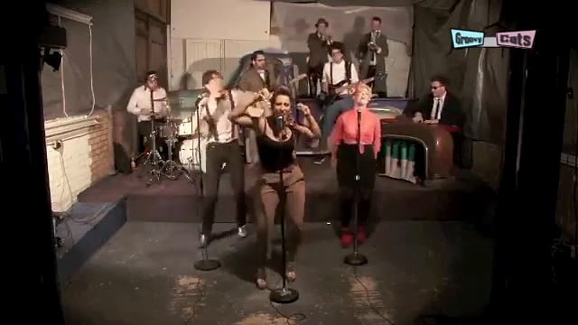 Groovy Cats - 3 смотреть онлайн